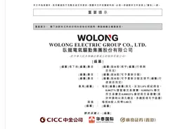 主业增速放缓、新业务占比不足3%，卧龙电驱赴港“补血”图片