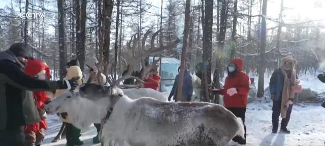 【冷冰雪 热经济】从生态景区到民俗小镇 冬季文旅创新玩法引爆消费热潮