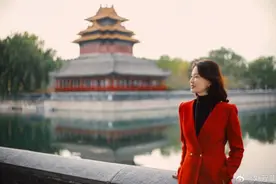 离开了央视的主持人，他们都去哪儿了？直播带货是尽头图片