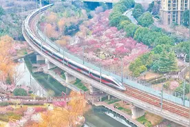 合肥市蜀山区：春色烂漫图片