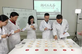 观点丨潮州工夫茶里，藏着什么科学奥秘？图片
