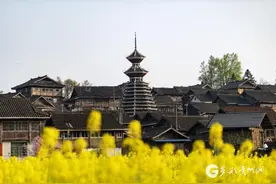 【100天的春季 100分的美丽】贵州从江：油菜花海侗寨同框壮美如画图片
