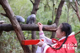 “恭喜发财”！云南野生动物园动物提前吃上年夜饭啦图片