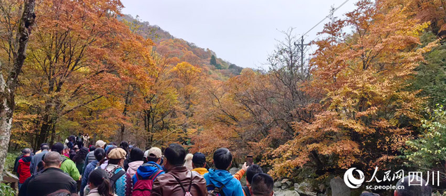 长长久久的奋斗，红红火火的发展