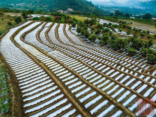 C视觉·“镜”行时㉓|七彩云南：26个民族的诗意家园（人文篇）