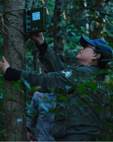 直播预告｜趣逛自然——走进海南热带雨林国家公园