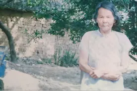 夜读丨母亲的树图片