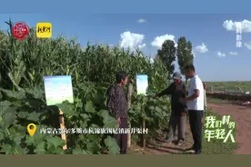 鄂尔多斯小伙李贵鹏：大学生返乡种玉米，让农民过上甜日子 | 我们村的年轻人图片