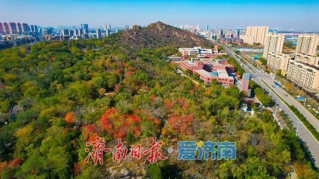 一年四季 泉在济南丨药山公园初冬美景：层林尽染处 山水入画来