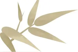 话成长 | 李天舒：勤学不辍，知合抱之木起于毫末图片