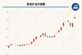 “铜茅”紫金矿业股价创历史新高   AI之外最火的板块为何是铜？图片