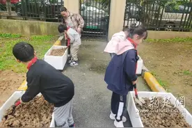 劳动正当时 这群小学生播种希望收获成长图片