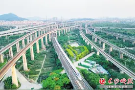 每天6趟，长沙⇌广州1小时59分直达图片