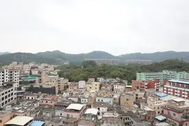 九王庙村：打造特色党建品牌，营造比学赶帮超浓厚氛围图片