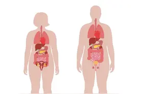 肚子疼时别着急，上下左右对应不同器官，“对号入座”才知道哪里生病了！图片