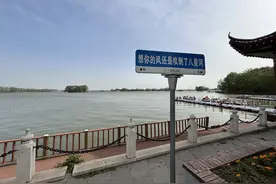 阜阳：皖北春日美景 江淮绮丽乐章图片