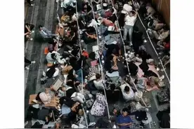 129元卖到6500元，谁在炒“哦崽”图片