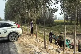 东阿：三轮车不慎落入深沟，警民合力助脱困图片