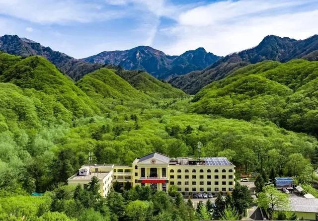 初冬的第一场旅行不如“进山游”→