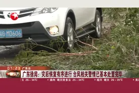 台风“摩羯”在广东徐闻二次登陆视频封面