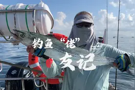 钓鱼“佬”友记｜让“多巴胺”分泌飙升的青岛“刀鲅季”图片