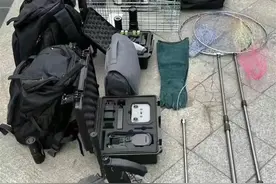 丢猫丢狗催生“宠物侦探”，专家紧急提醒图片