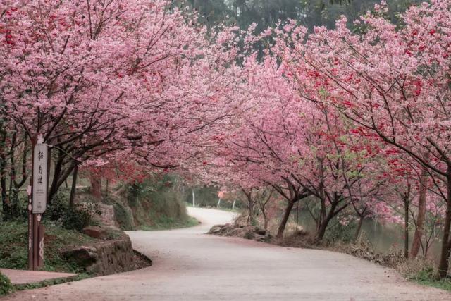 准备好了吗？下周，宜宾将迎来超级大回暖