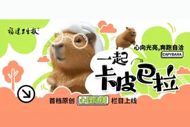 新晋顶流“卡皮巴拉”，治好了我的焦虑和精神内耗图片