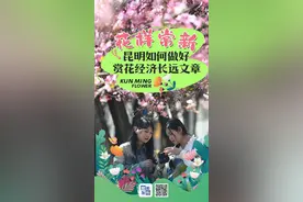 花样常新的昆明，咋把“颜值”变“产值”？图片
