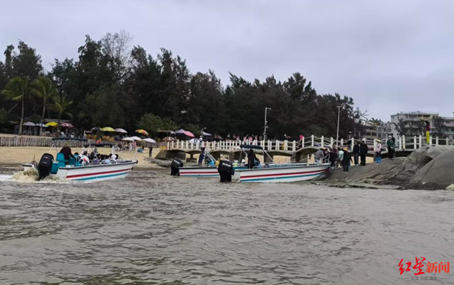 广西钦州三娘湾 “出海观豚” 乱象：十余艘船围堵，小海豚遭追后死亡，有船长称看不到退票，怕亏钱不停追