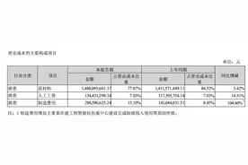 业绩增速放缓，五粮液抛出19个投资项目来增效图片