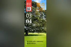 壹点日历合集|每个优秀的人都有段静默时光  我们把它叫做扎根图片