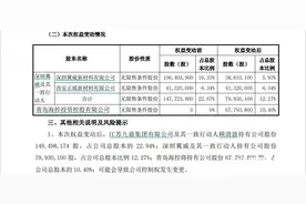 股权被执行转让，“世界铜王”正威旗下唯一上市公司或将易主图片