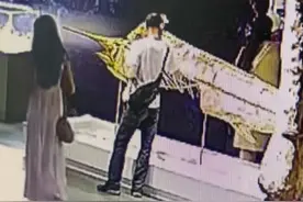 男子不顾提示掰断博物馆内枪鱼标本，馆方：维修费上万，已报警寻人图片