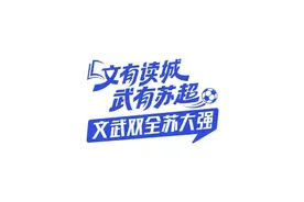 读城｜徐州奥体中心：当“徐老大”遇上“新南哥”，这座球场藏着多少热血名场面？图片