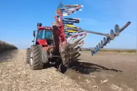 秸秆原位翻埋还田！宝清县“变废为宝”促增收图片