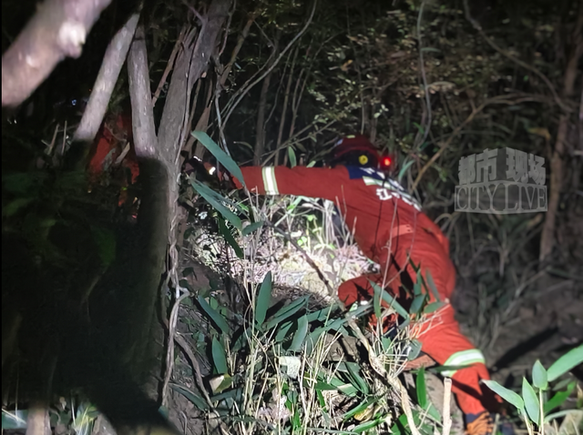 8名“银发”徒步爱好者被困景德镇深山，消防连夜施救