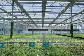 重磅！南阳中医药产业入选2023年河南省先进制造业集群图片