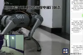 智能机器导盲犬上新！可脱离互联网环境工作，能否取代传统导盲犬？图片