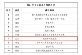 入选全国十大最美自驾路，山东唯一！济宁这条观光线沿途亮点多图片