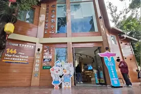 来海埂大坝观鸥，别忘了打卡“海鸥邮局”图片