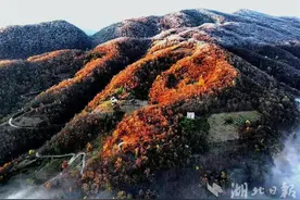 雾凇满山！云海翻涌！神农架雪后初晴美如画图片