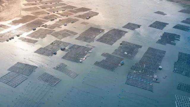 宁上高速全线通车！游玩攻略，带你通向超乎想象的滨海秘境→