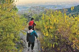 两个娃搭子的惊魂之旅图片