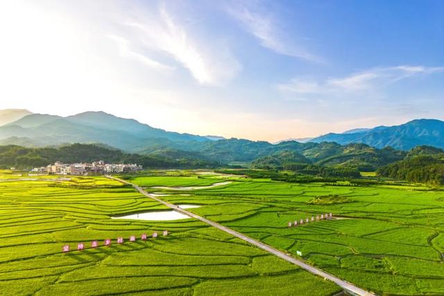 梯田、银杏、枫叶……跟着广东旅游文化节打卡清远“限定”美景