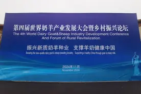 振兴新质奶羊种业  支撑羊奶健康中国 第四届世界奶羊产业发展大会暨乡村振兴论坛在陕西千阳举办图片