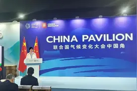 孙英代表国家建筑绿色低碳技术创新中心在COP29上发表演讲图片