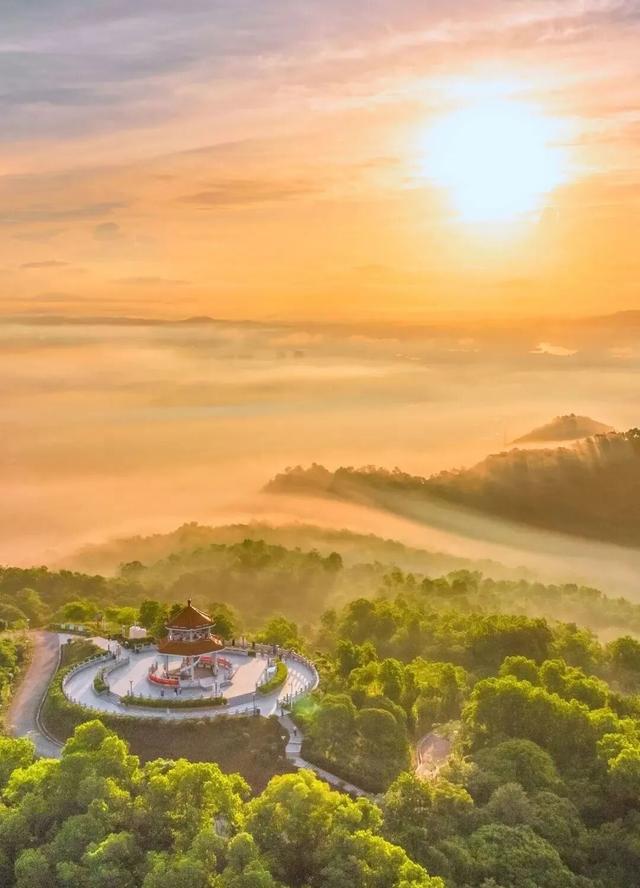 多位外籍网红博主“打卡”阳江