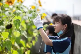 2元/生·课时！广州发布课后服务收费标准图片