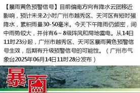 台风“蝴蝶”已在广东再次登陆，多地暴雨预警信号生效中图片